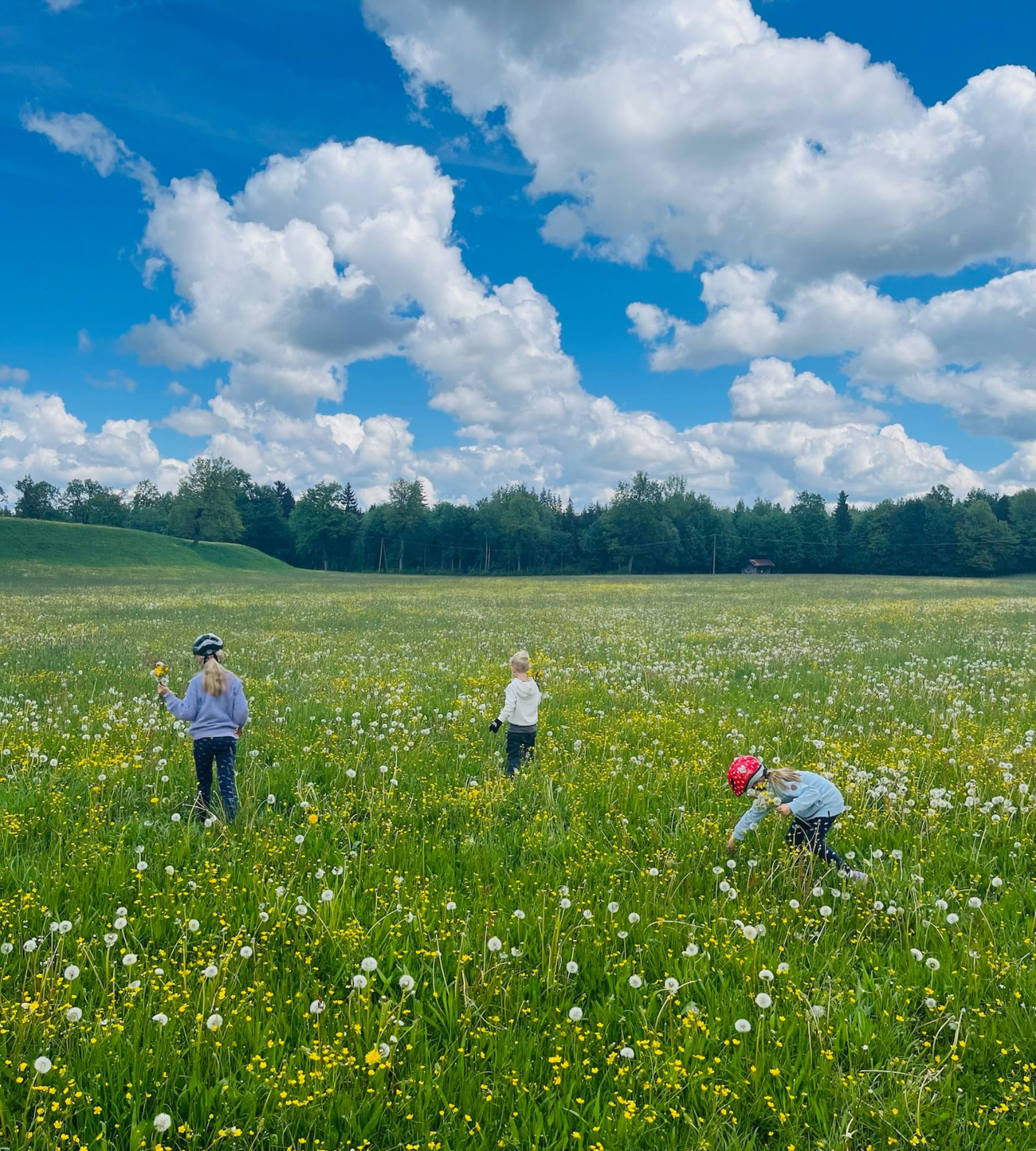 Unterwegs lernen – was Kinder auf Reisen ganz nebenbei entdecken