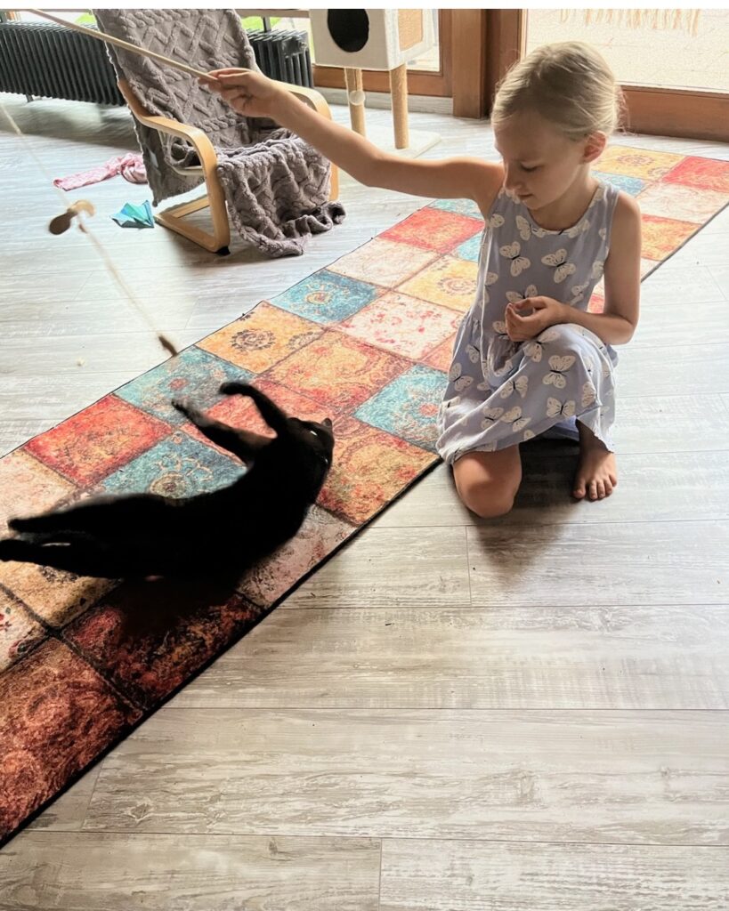 Kind spielt mit einer Katze beim Haus- und Tierssitting