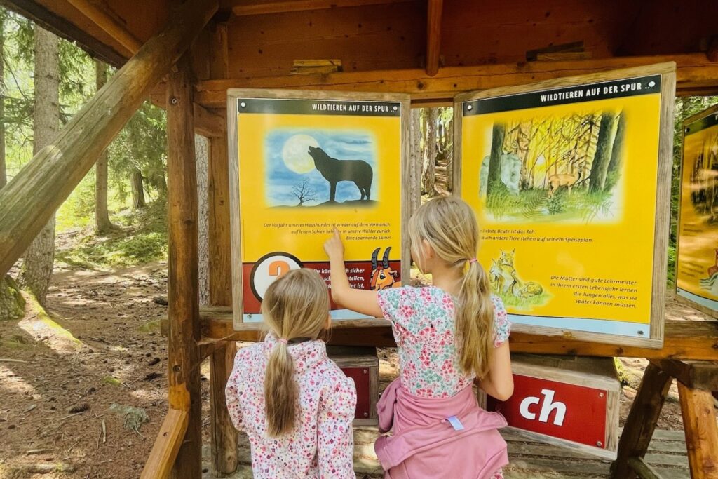Kinder entdecken eine Erlebnisstation auf dem Waldtier-Erlebnisweg Arzl im Pitztal.